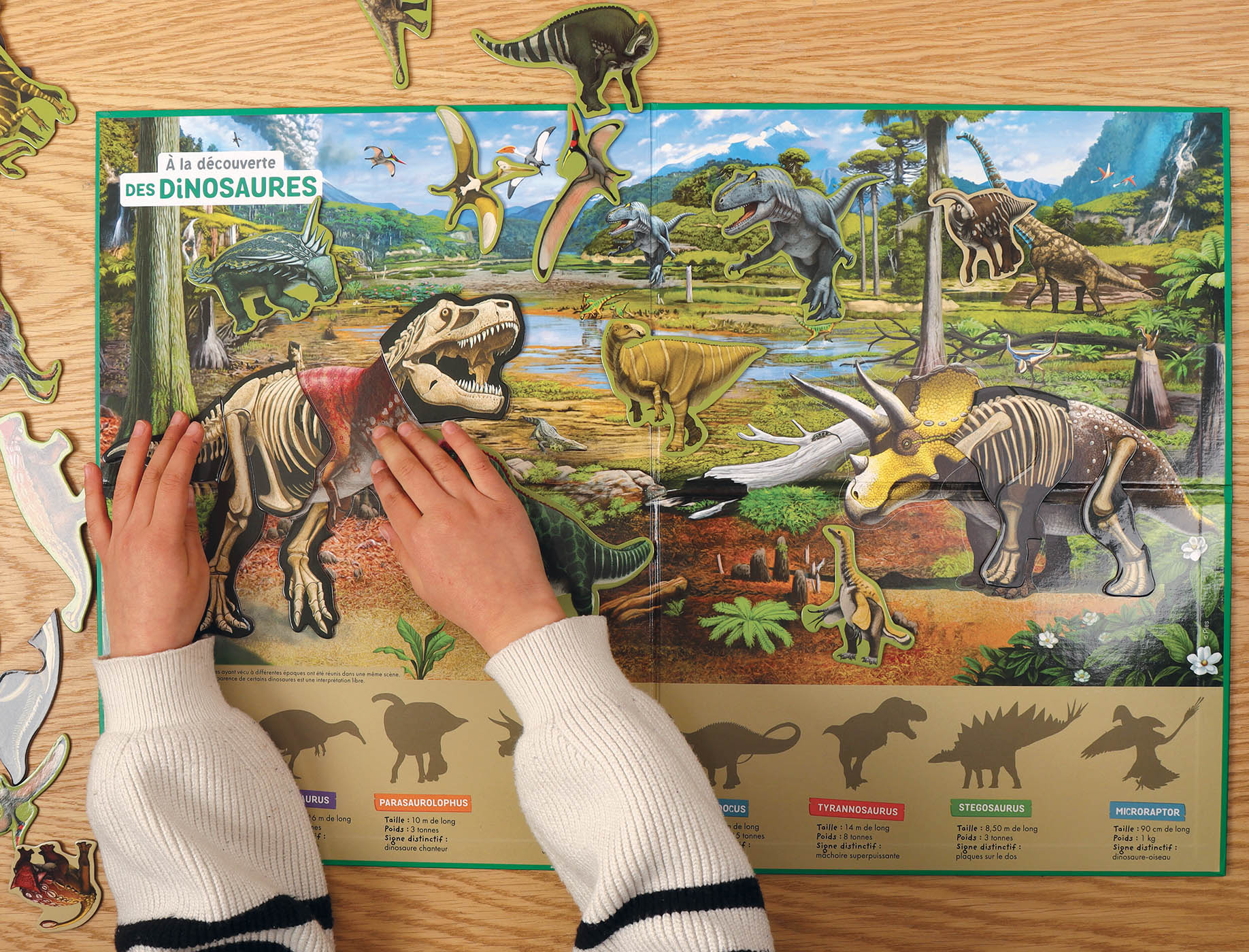 A La Découverte Des Dinosaures A La Découverte Des Dinosaures