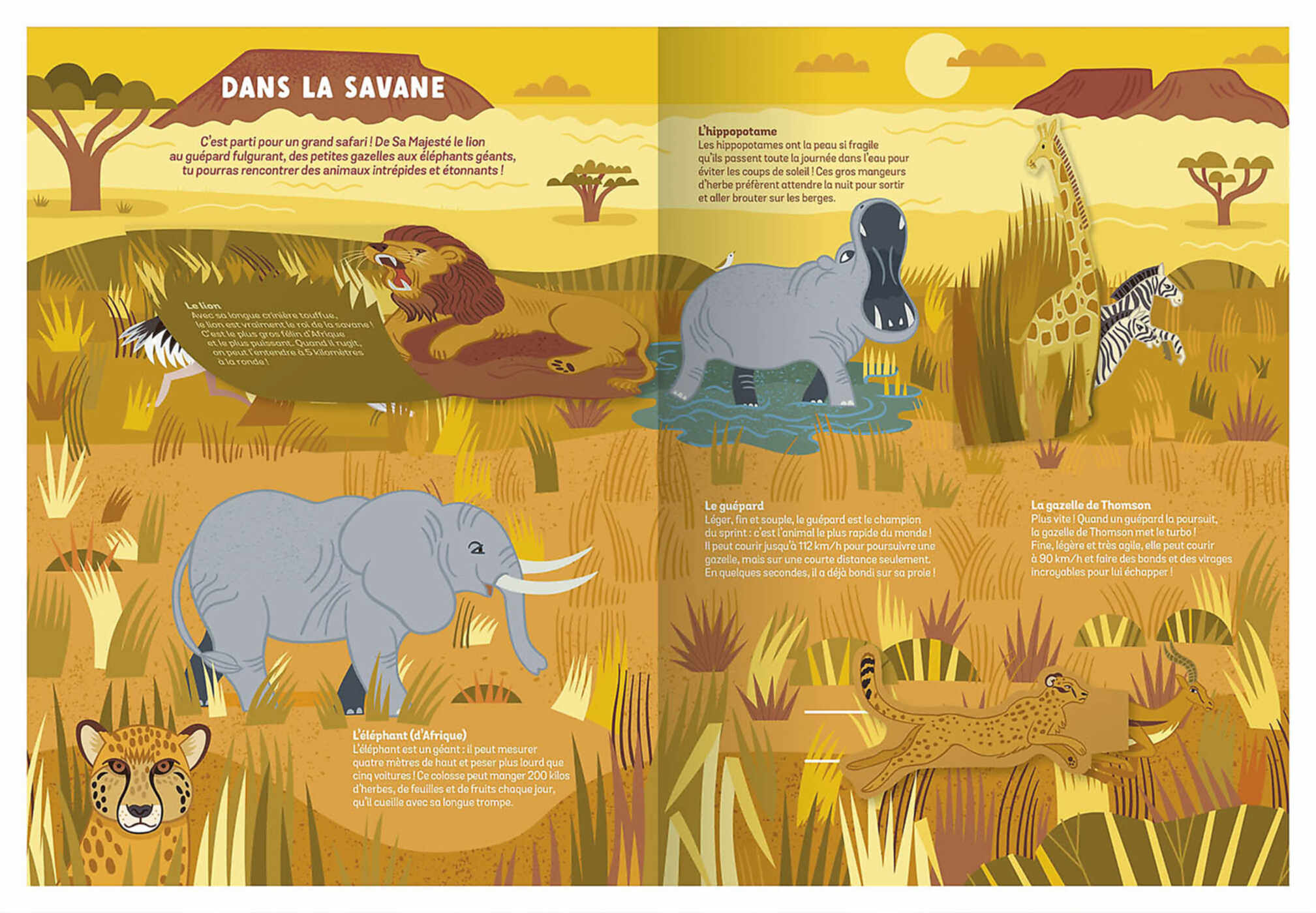 Les Animaux Sauvages - Un Documentaire Animé Les Animaux Sauvages - Un Documentaire Animé