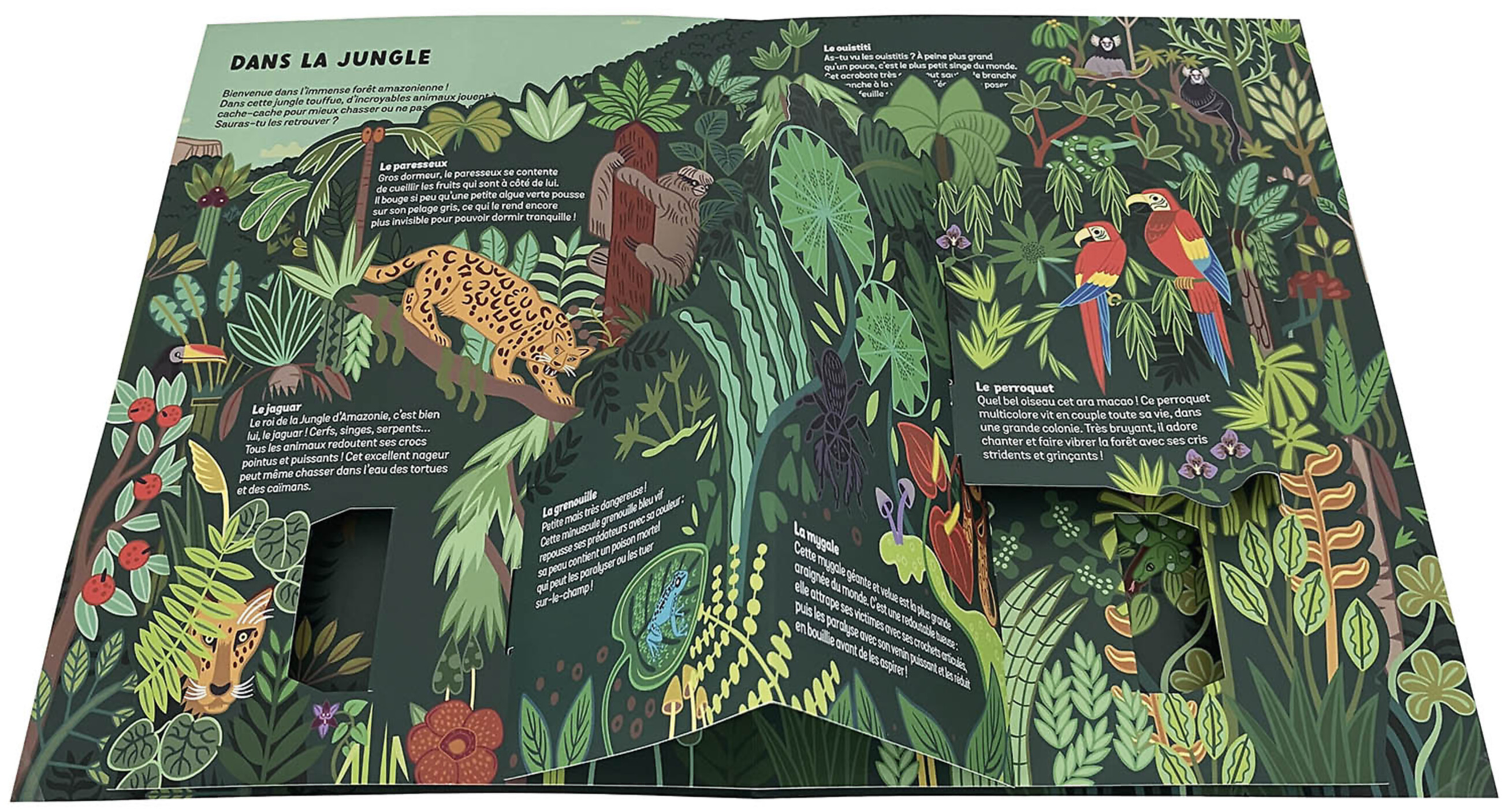 Les Animaux Sauvages - Un Documentaire Animé Les Animaux Sauvages - Un Documentaire Animé