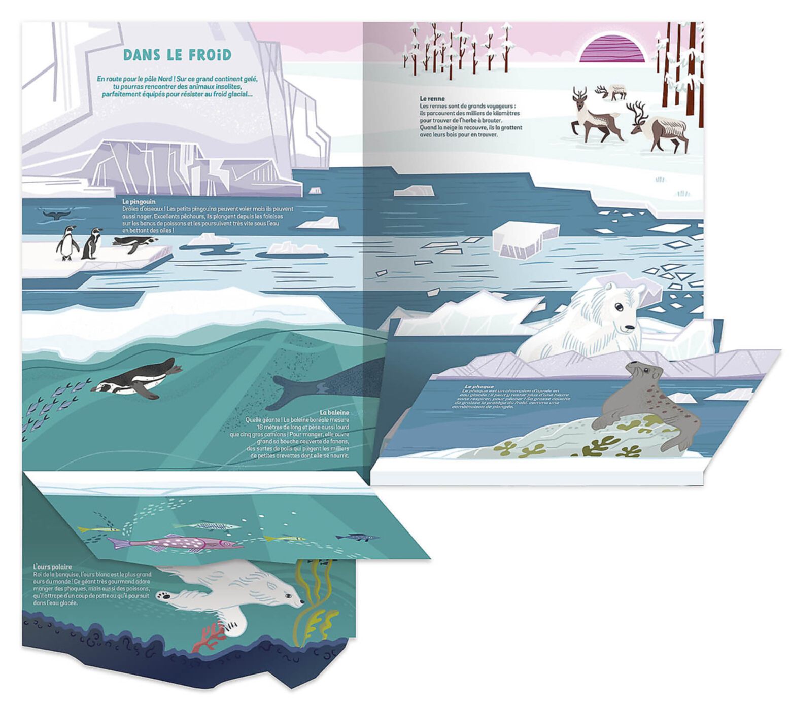 Les Animaux Sauvages - Un Documentaire Animé Les Animaux Sauvages - Un Documentaire Animé