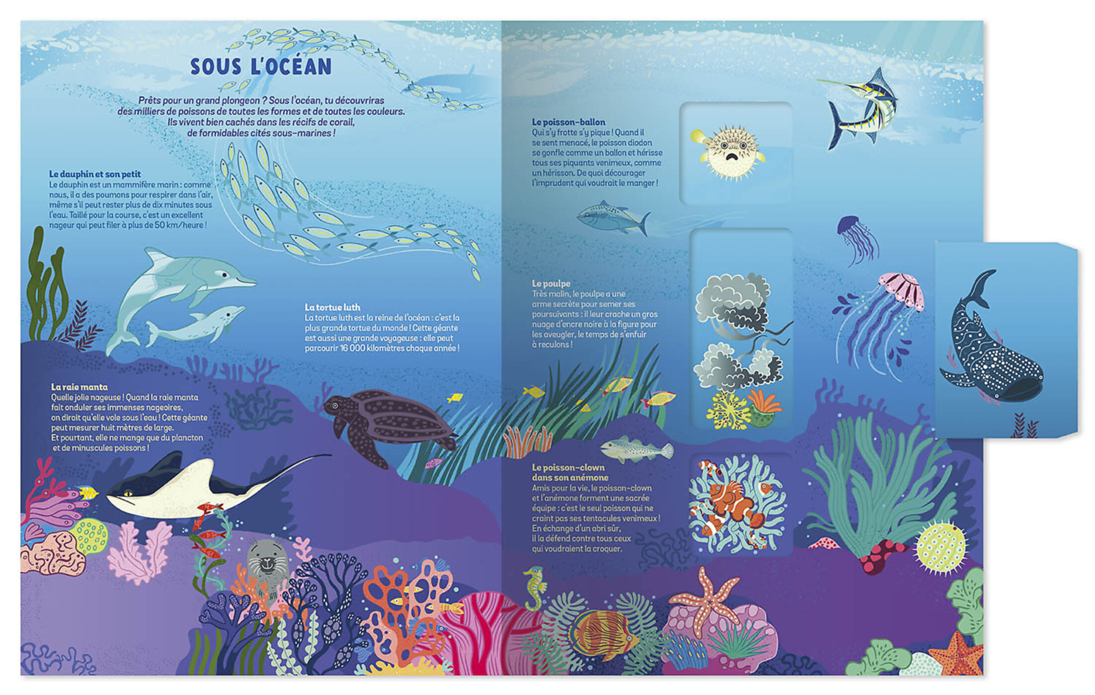 Les Animaux Sauvages - Un Documentaire Animé