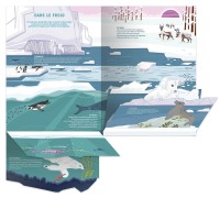 Les Animaux Sauvages - Un Documentaire Animé Les Animaux Sauvages - Un Documentaire Animé