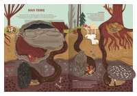 Les Animaux Sauvages - Un Documentaire Animé