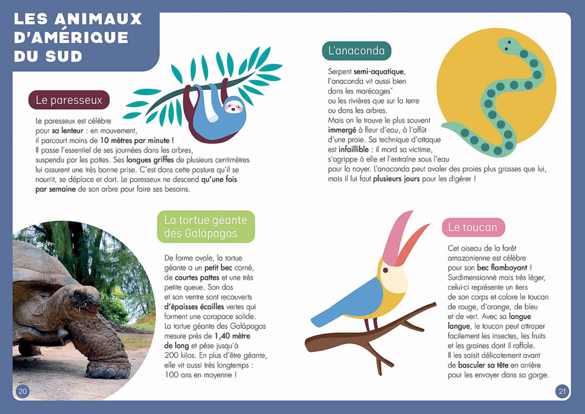 Atlas : Un Puzzle - Un Livre - Un Poster Atlas : Un Puzzle - Un Livre - Un Poster