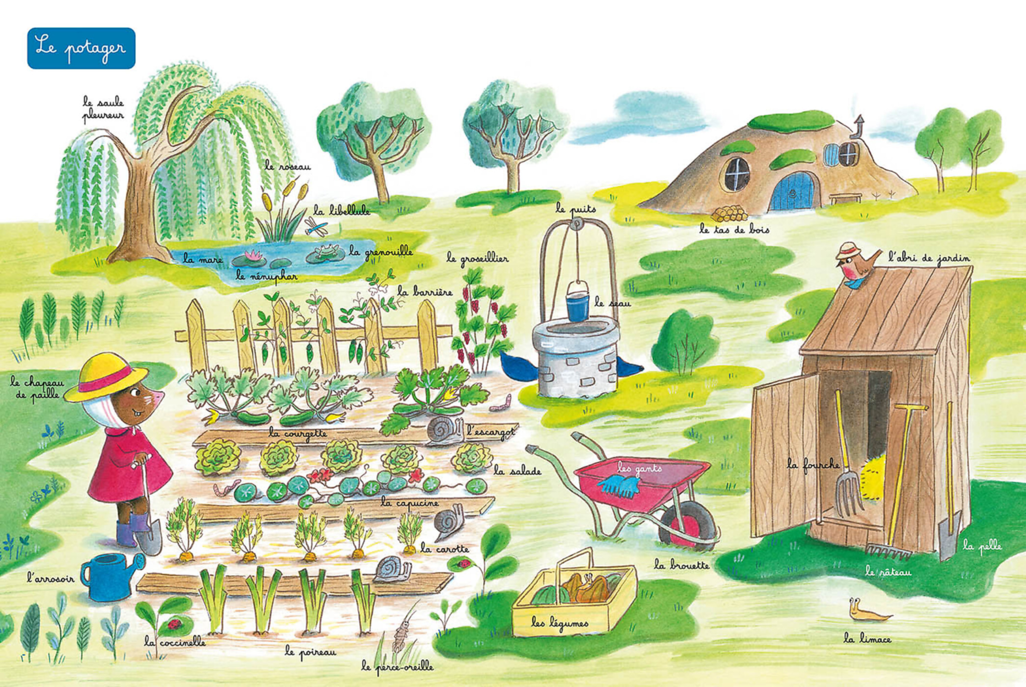 Petite Taupe - L'imagier De La Nature Petite Taupe - L'imagier De La Nature