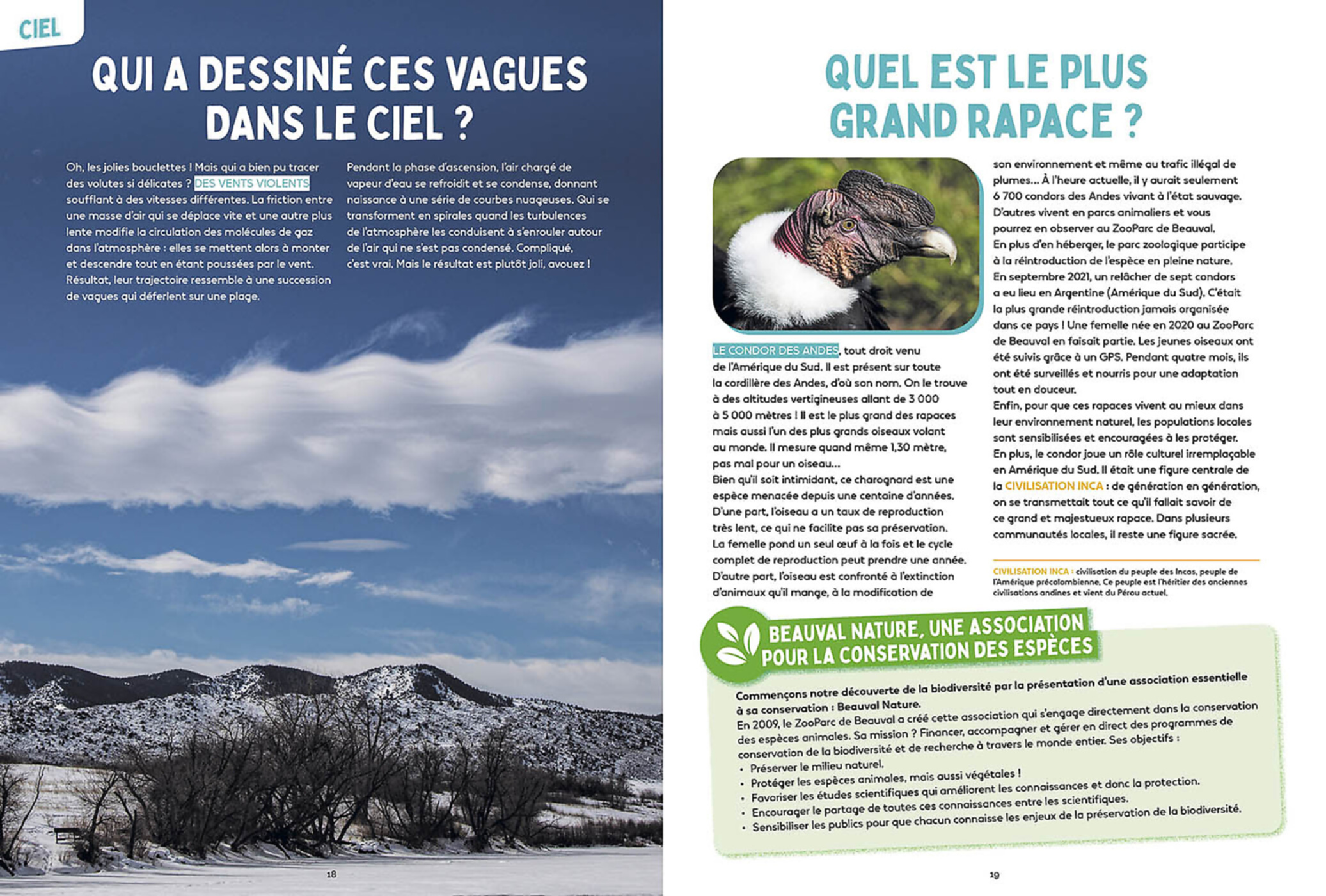 Les Mystères De La Nature - Science & Vie Junior Les Mystères De La Nature - Science & Vie Junior