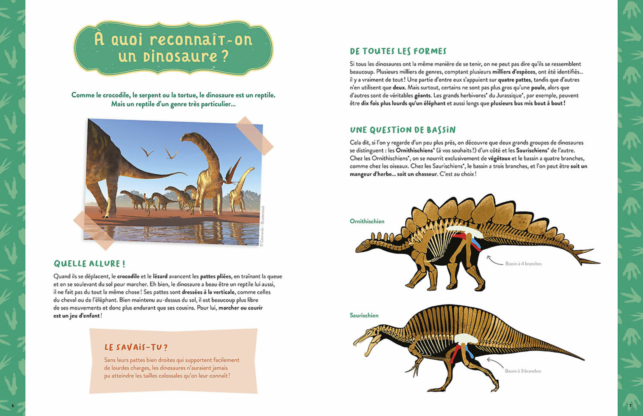 Mon Coffret D'artiste - Mes Dinosaures À Construire Mon Coffret D'artiste - Mes Dinosaures À Construire