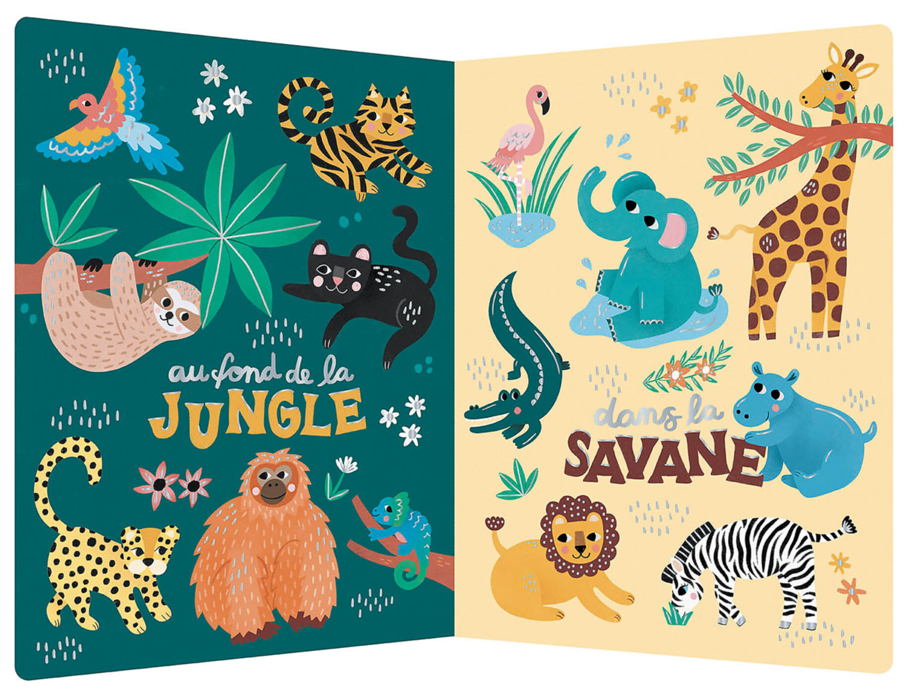 Mes 100 Animaux À Découvrir By Michelle Carlslund Mes 100 Animaux À Découvrir By Michelle Carlslund