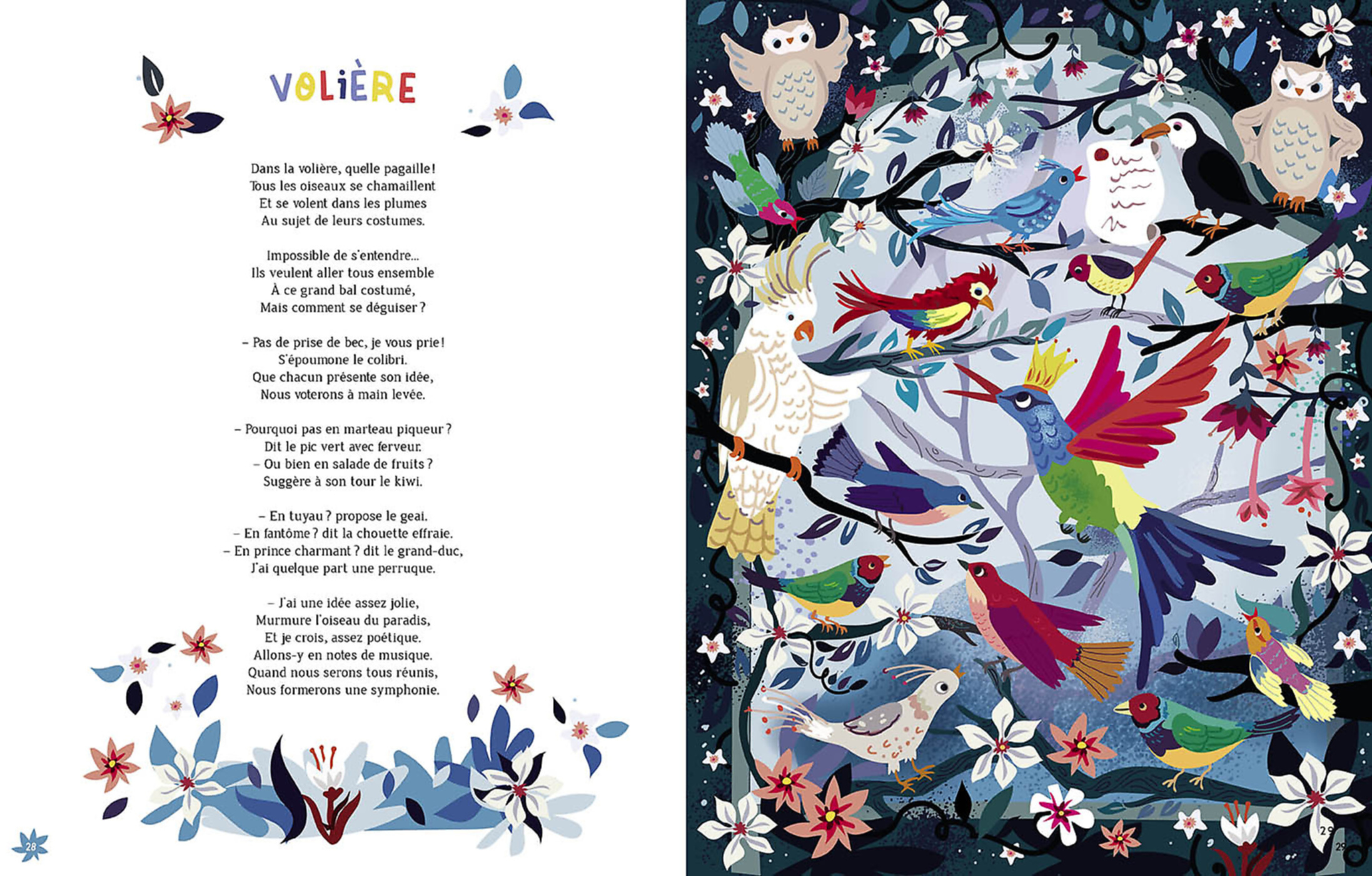 Le Carnaval Des Animaux Le Carnaval Des Animaux