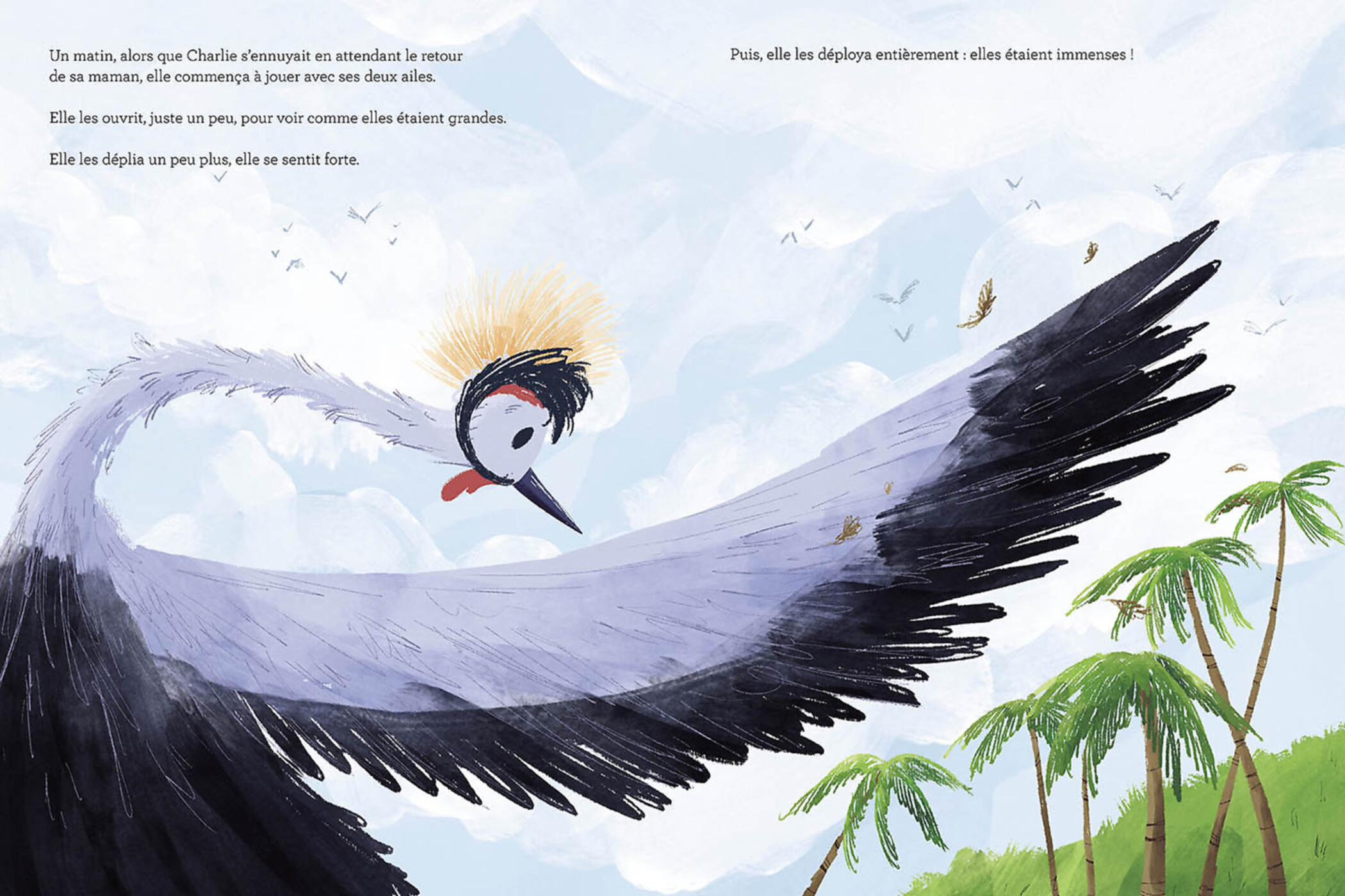 Charlie L'envol Charlie L'envol