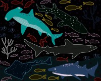 Ma Pochette D'artiste - Mes Cartes À Gratter - Océan Ma Pochette D'artiste - Mes Cartes À Gratter - Océan