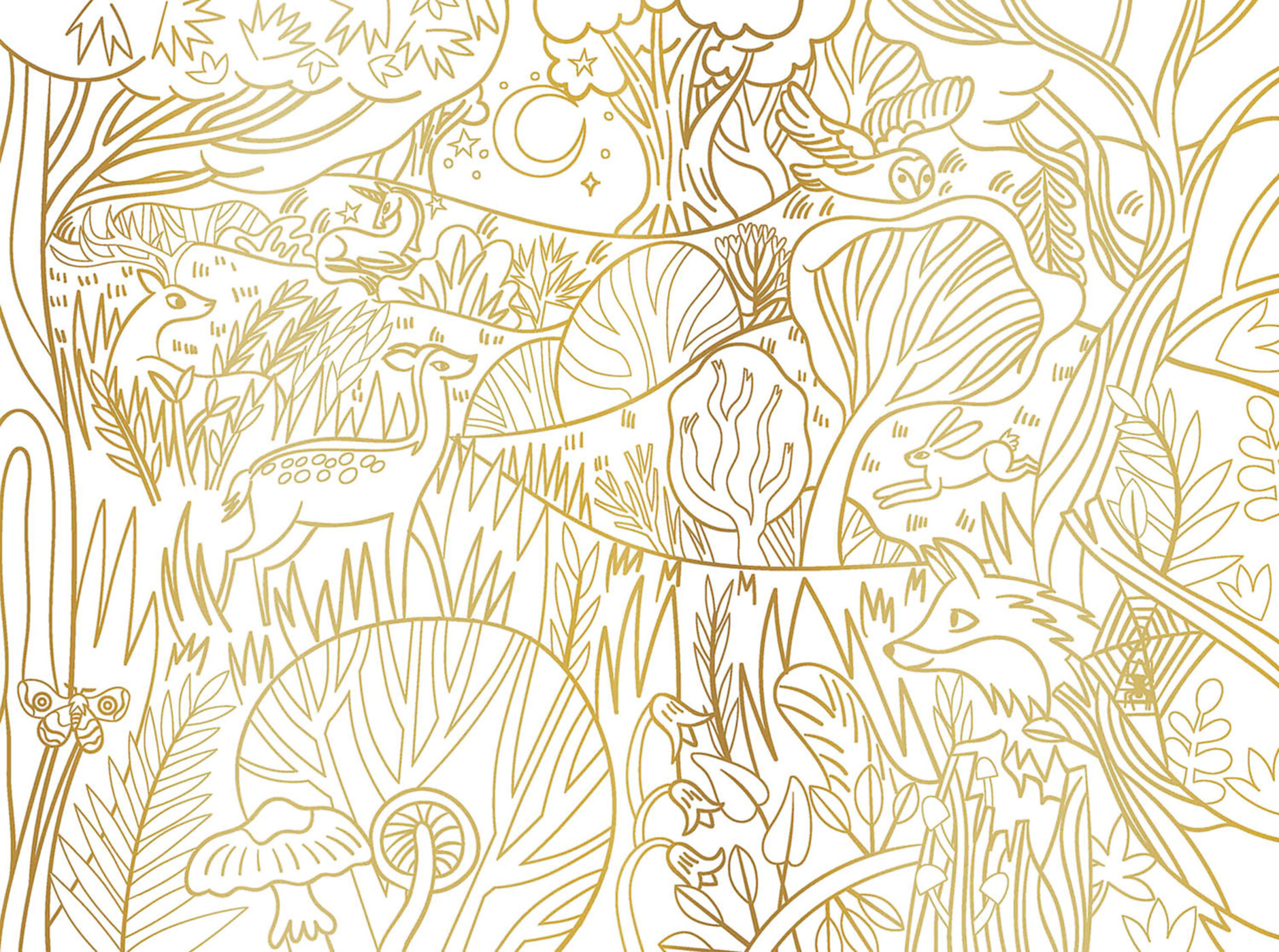 Tableaux Enchantés À Colorier Tableaux Enchantés À Colorier