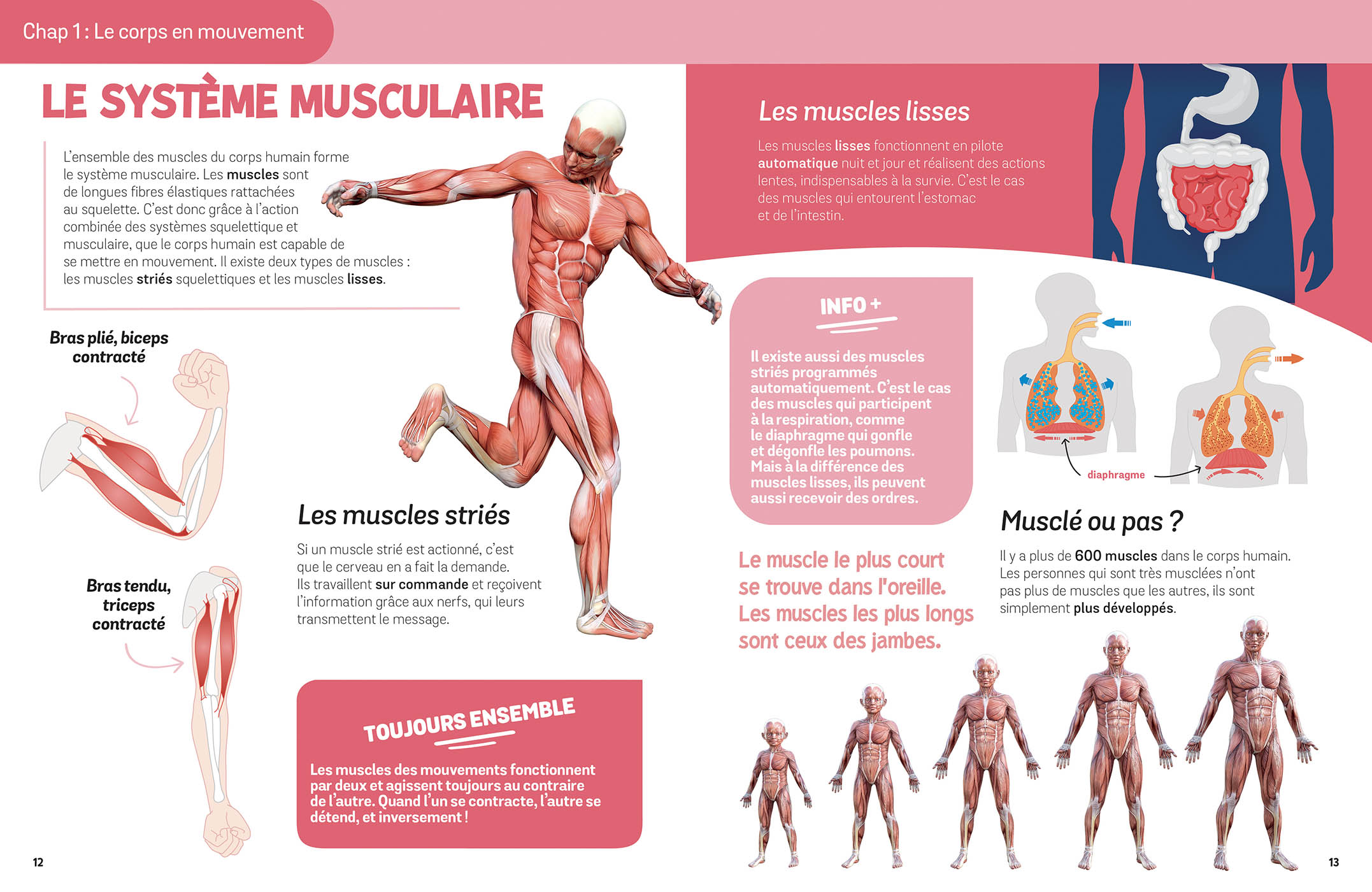 Ludoc' - Jouer - Le Corps Humain Ludoc' - Jouer - Le Corps Humain