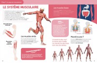 Ludoc' - Jouer - Le Corps Humain