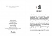 Mystère En Belgique - L'ombre Des Égouts Mystère En Belgique - L'ombre Des Égouts