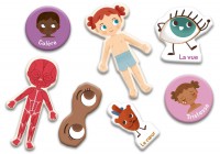 Mon Petit Coffret Aimanté - Le Corps Humain