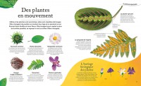 L'anthologie Insolite Des Plantes L'anthologie Insolite Des Plantes