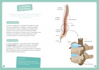 A La Découverte Du Corps Humain