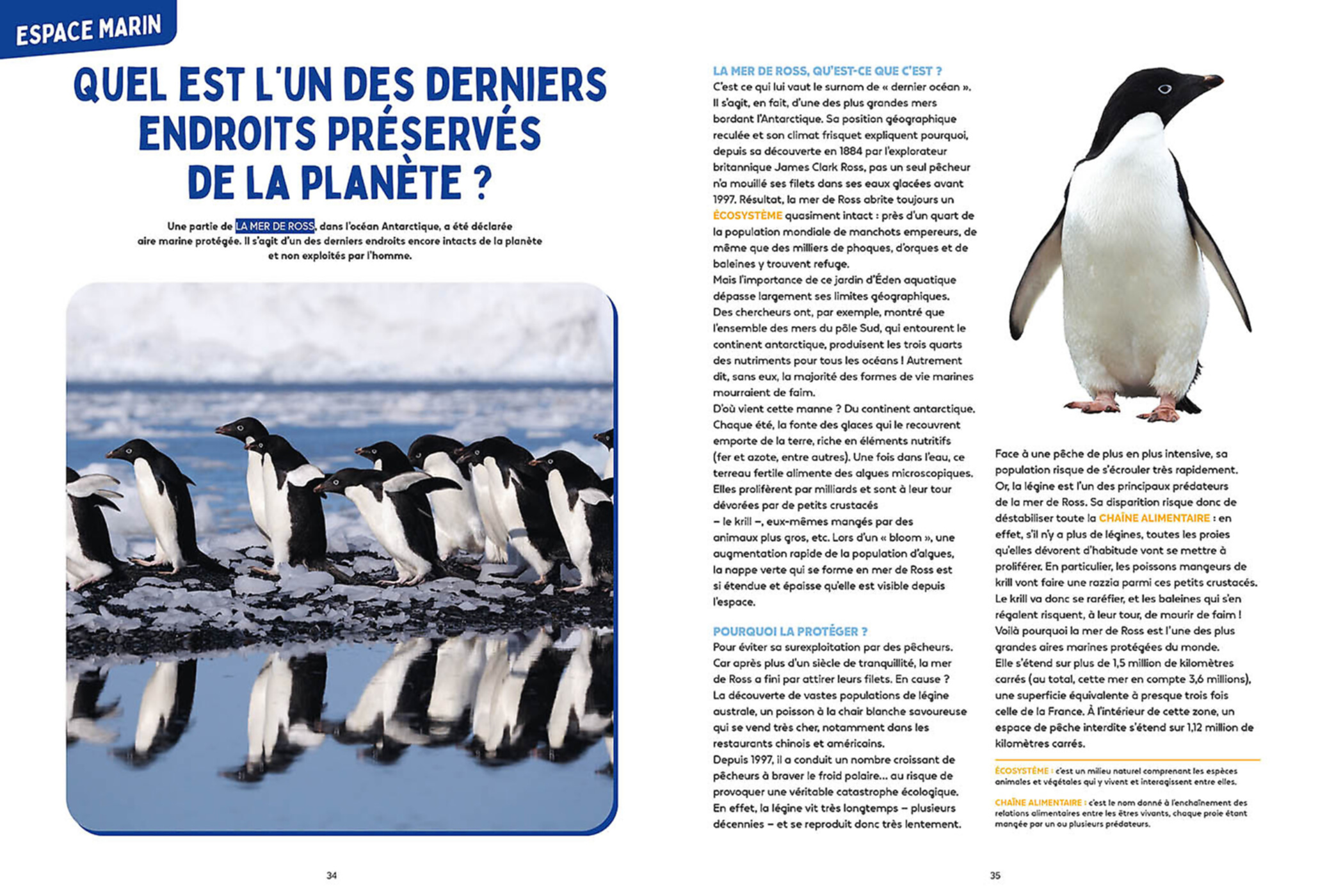 Les Mystères De L'océan - Science & Vie Junior Les Mystères De L'océan - Science & Vie Junior