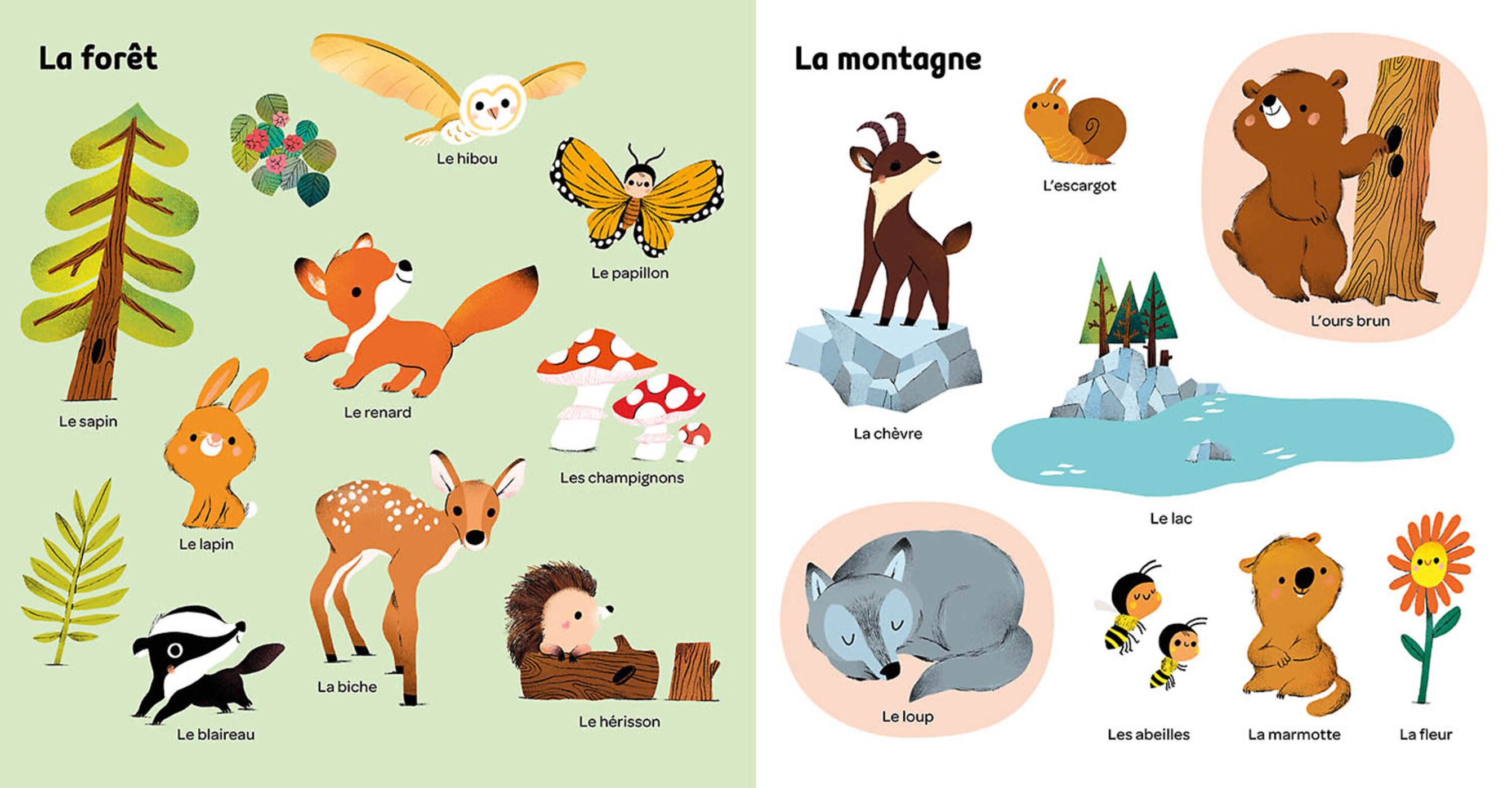 Mes 100 Mots Pour Découvrir Le Monde Mes 100 Mots Pour Découvrir Le Monde