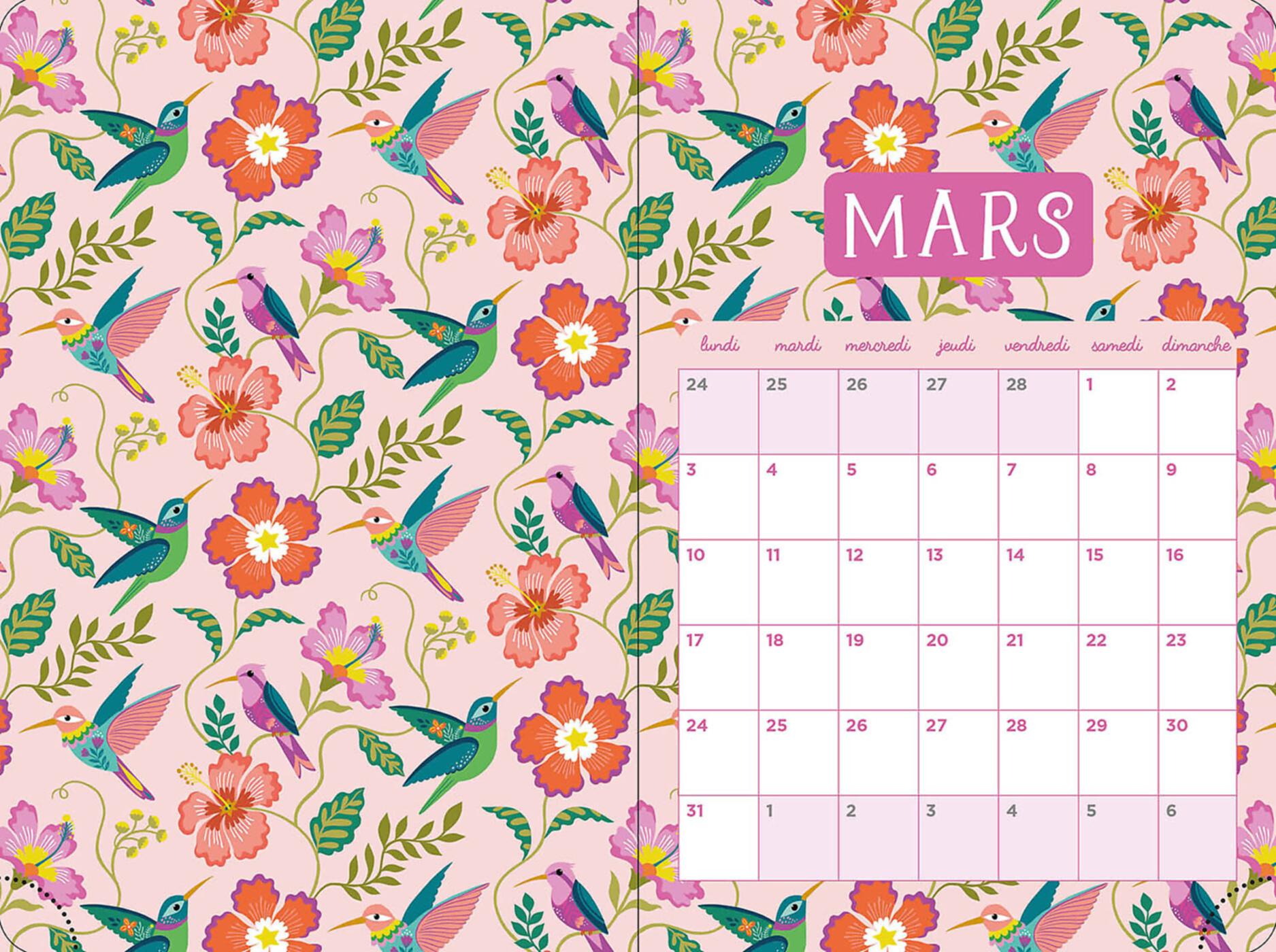 Agenda 2024-2025 - Fluo Agenda 2024-2025 - Fluo