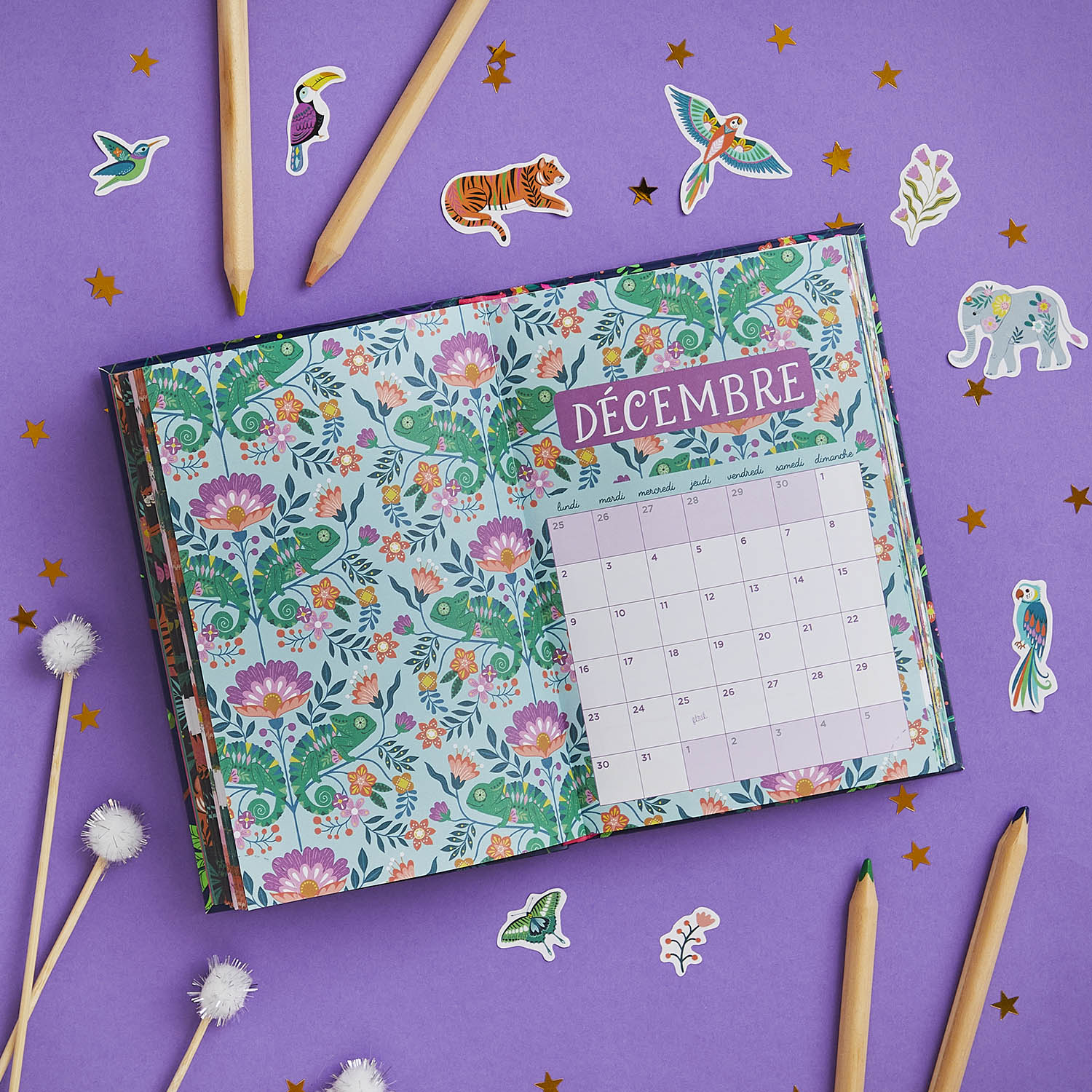 Agenda 2024-2025 - Fluo Agenda 2024-2025 - Fluo