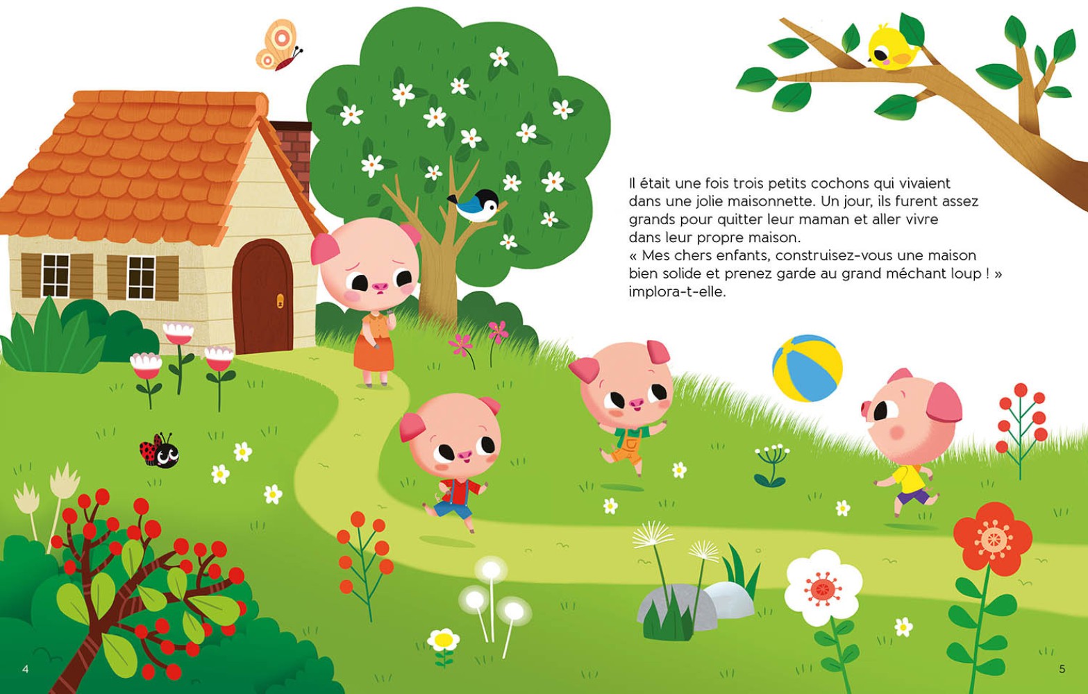 Les P'tits Classiques - Ma Jolie Bibliothèque De Contes Classiques Les P'tits Classiques - Ma Jolie Bibliothèque De Contes Classiques