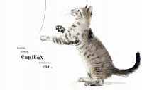 Ce Que Je Ressens Ce Que Je Ressens