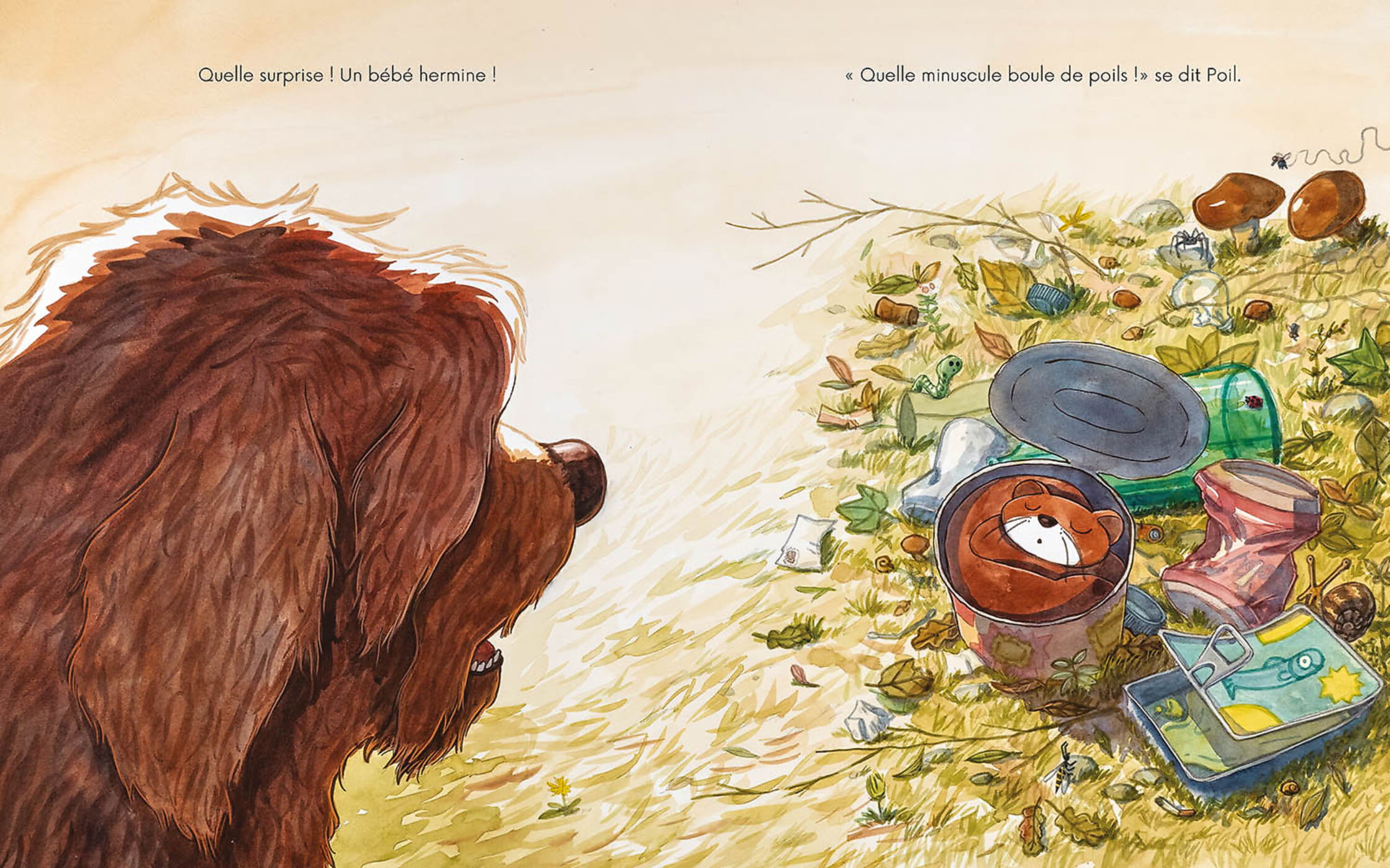 Poil Et Plume Poil Et Plume