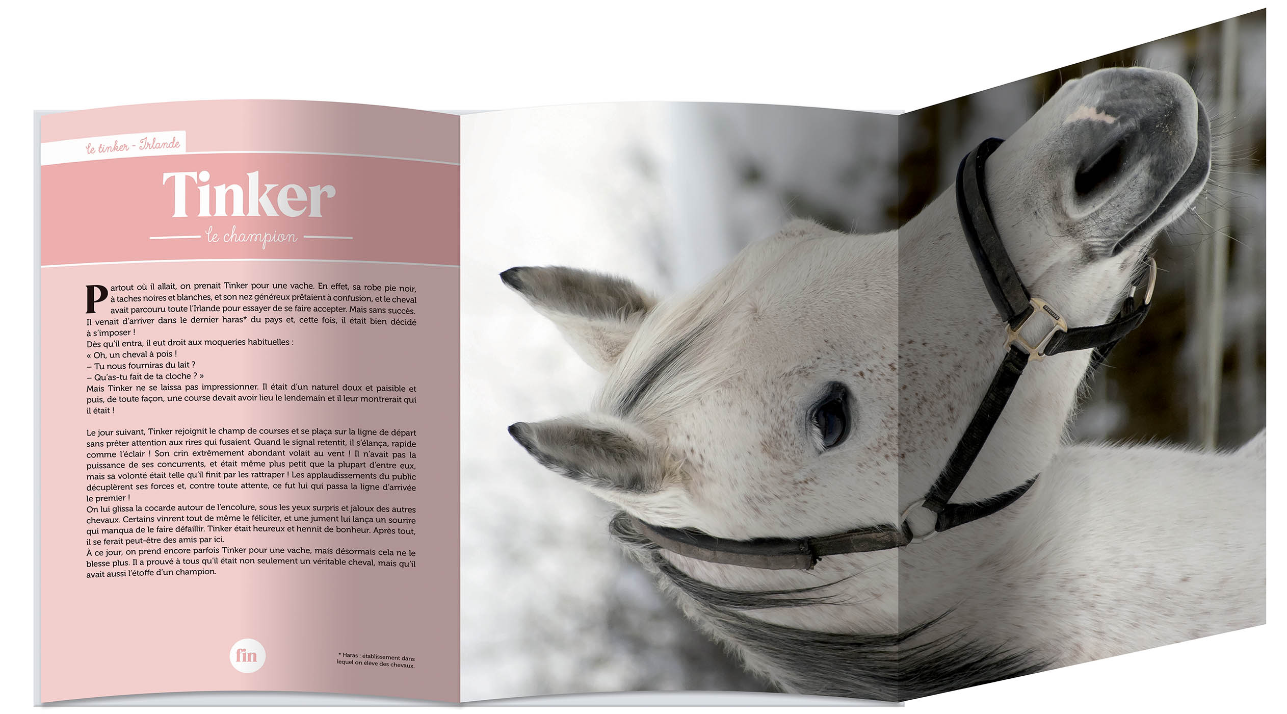 Livre-Poster : Mes Histoires De Chevaux