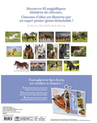 Livre-Poster : Mes Histoires De Chevaux