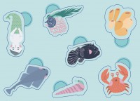 Ma Pochette De 100 Gommettes - Animaux De La Mer Ma Pochette De 100 Gommettes - Animaux De La Mer
