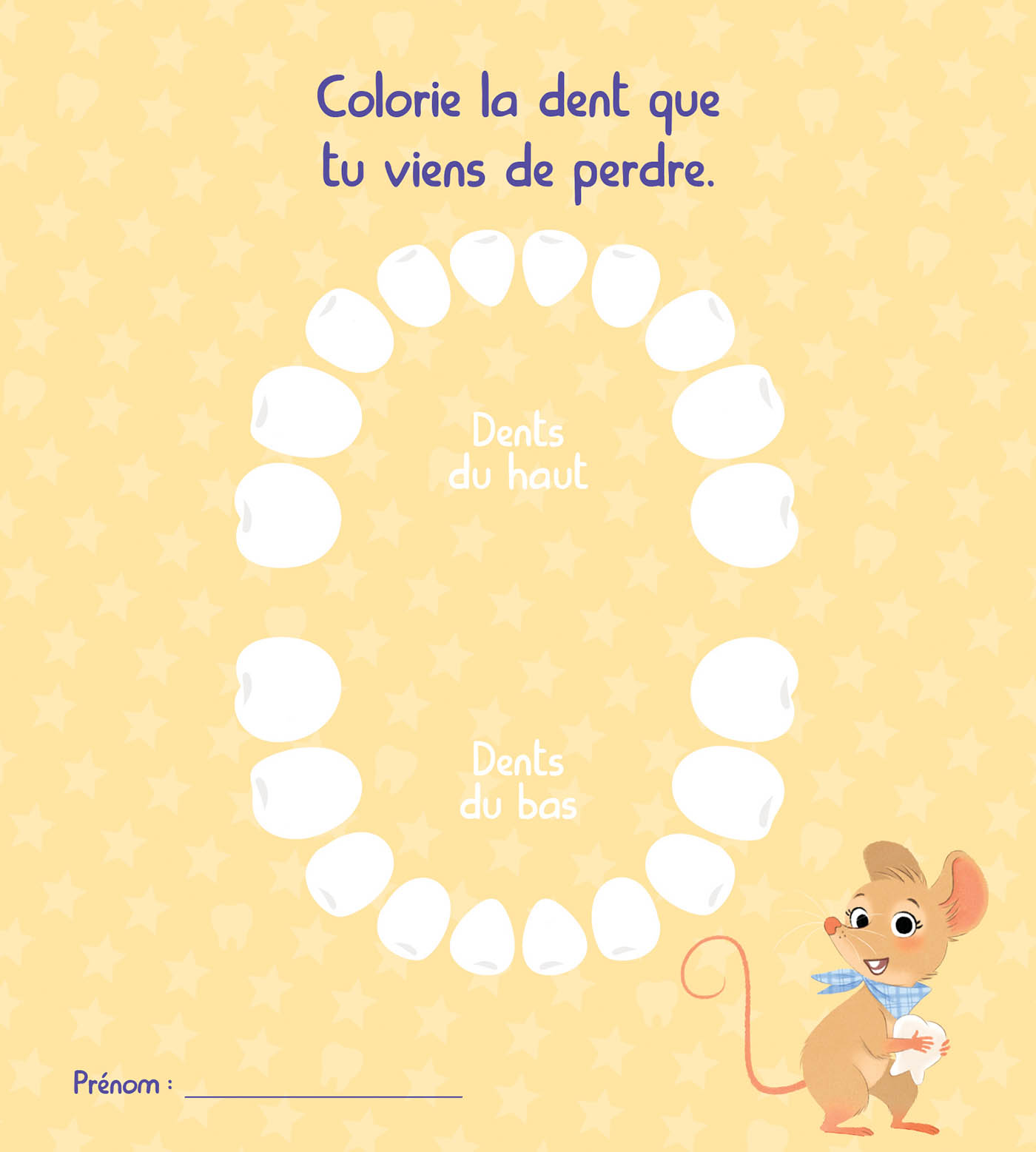 Mon Coffret Grisette : 2 Histoires Et 1 Boîte À Dent Mon Coffret Grisette : 2 Histoires Et 1 Boîte À Dent