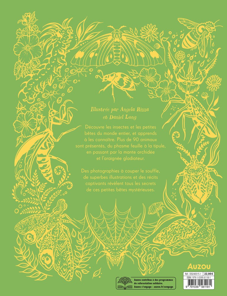 L'anthologie Illustrée Des Insectes Étonnants Et Autres Petites Bêtes