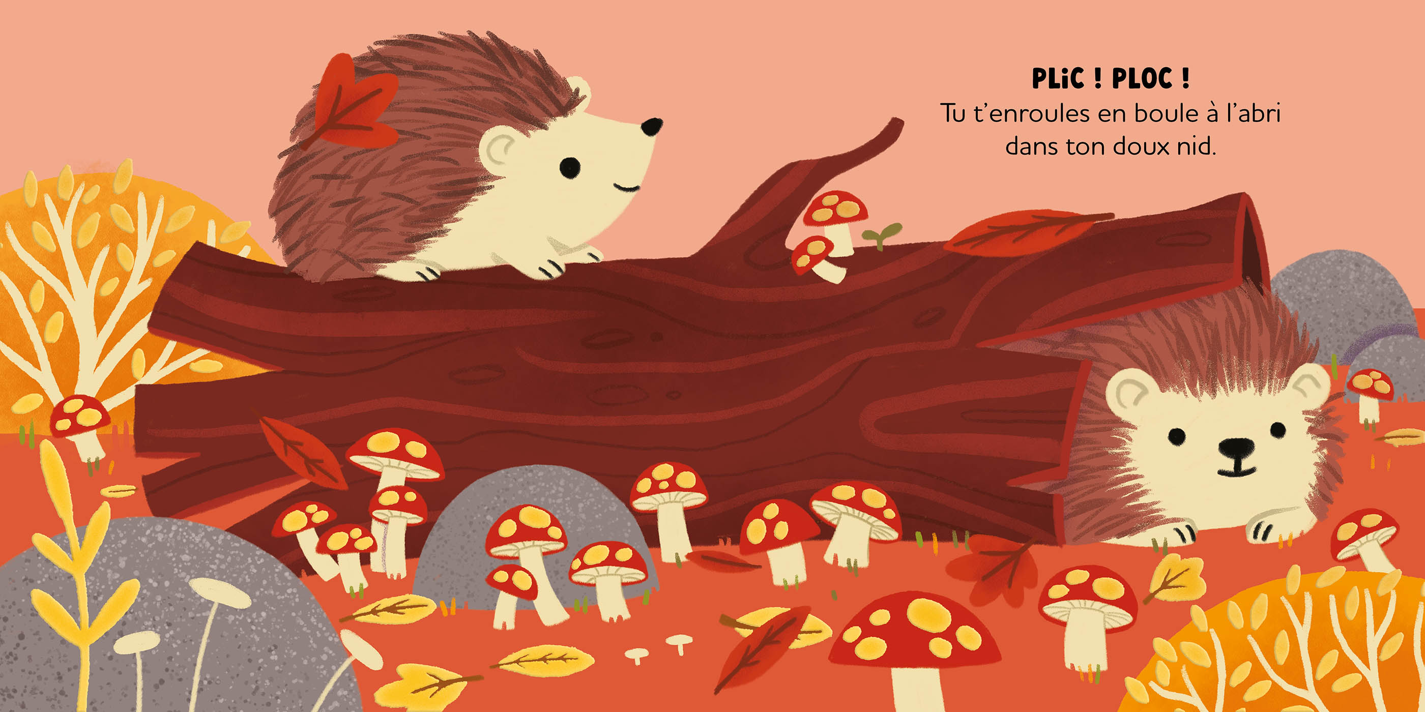 Histoires À Câliner - Au Coeur De La Forêt Histoires À Câliner - Au Coeur De La Forêt