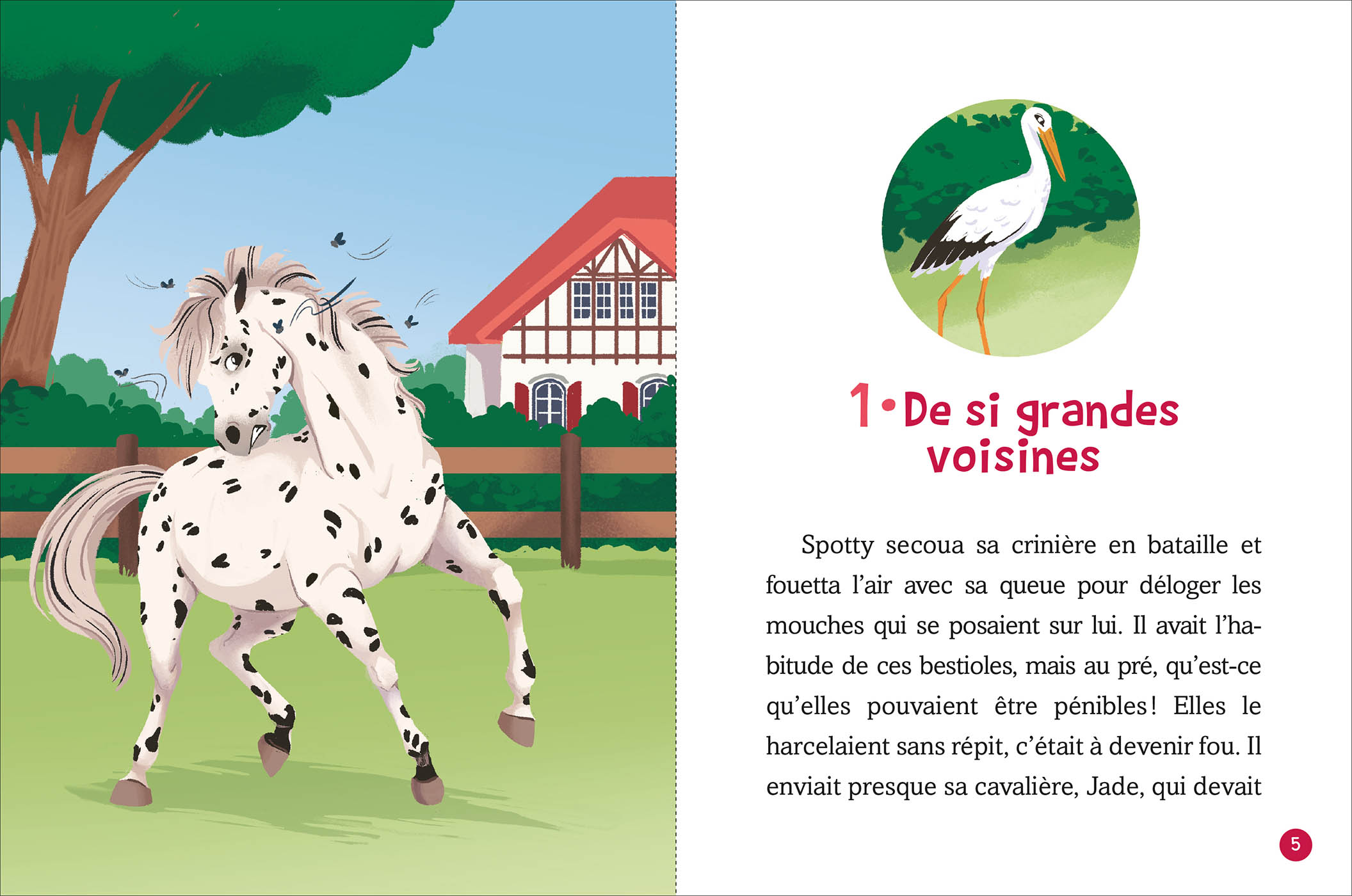 Coffret Bibliothèque 1 - Jade Et Les Chevaux - Tomes 1 À 3 Coffret Bibliothèque 1 - Jade Et Les Chevaux - Tomes 1 À 3