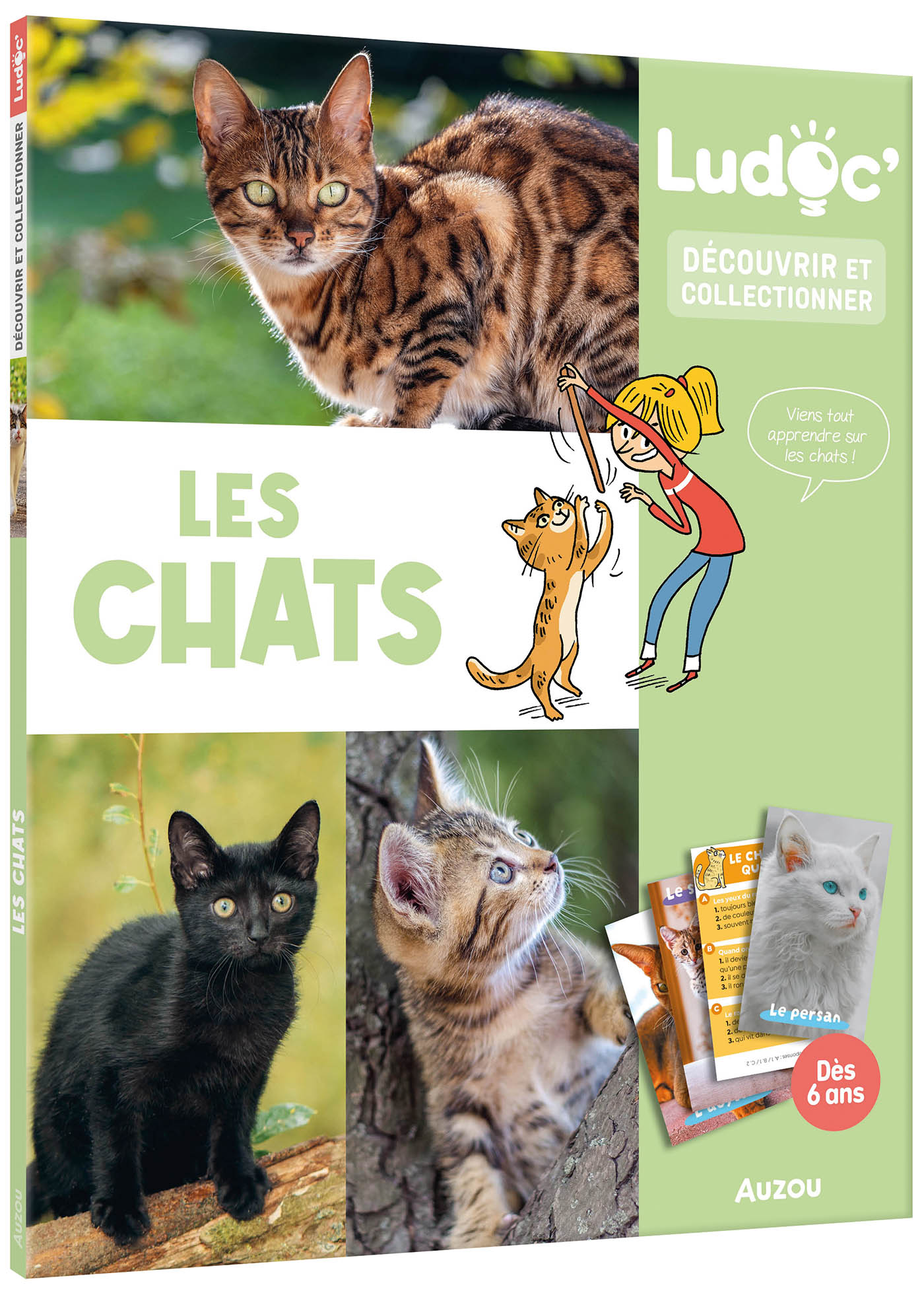 Ludoc - Découvrir Et Collectionner - Les Chats Ludoc - Découvrir Et Collectionner - Les Chats